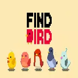 Find Bird